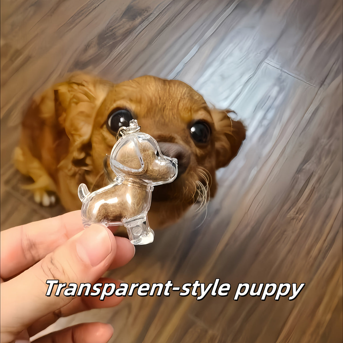 Pet Fur Keepsake Storage Box Set of 6 – Transparent Dog & Cat Hair Collection Cases with Whimsical Embellished Design, Decorative Hair Organizer & Memorial Keepsake Gift for Pet Owners