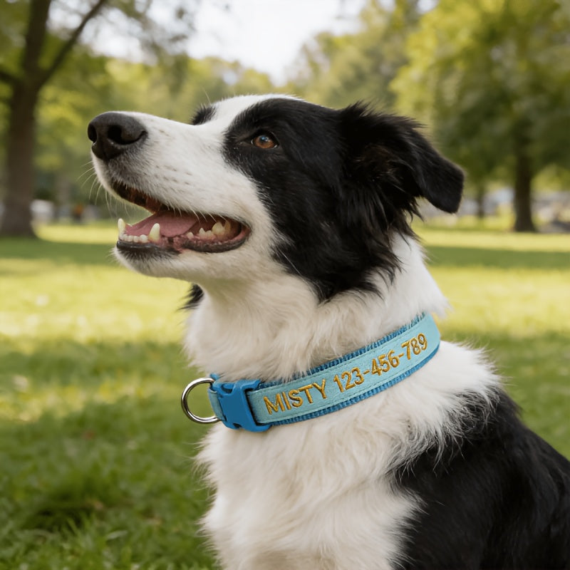 Personalized Glow in the Dark Dog Collar – Custom Embroidered Name & Phone Number, Luminous Night Safety Collar for Small Medium & Large Dogs, Anti-Lost Design in XS/S/M/L, 5 Colors Available