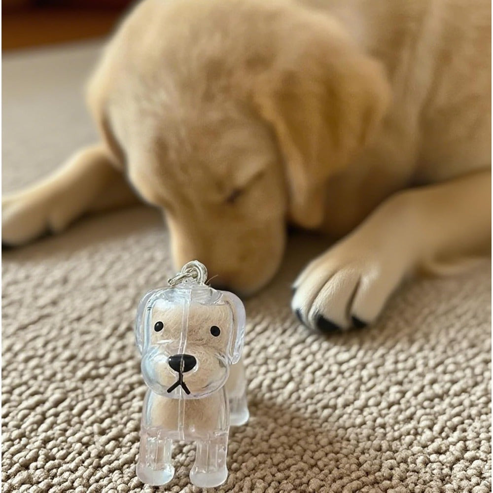 Pet Hair Memorial Keychain Capsule – 16-Pack Transparent Gashapon Storage Charm for Dog & Cat Hair Keepsake, Commemorative Collectible Bag Accessory, Unique Gift for Pet Owners & Animal Lovers